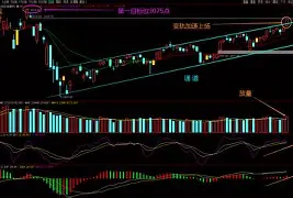 MATIC上扬势惊人，一夜飙升13.87%，加密市场沸腾